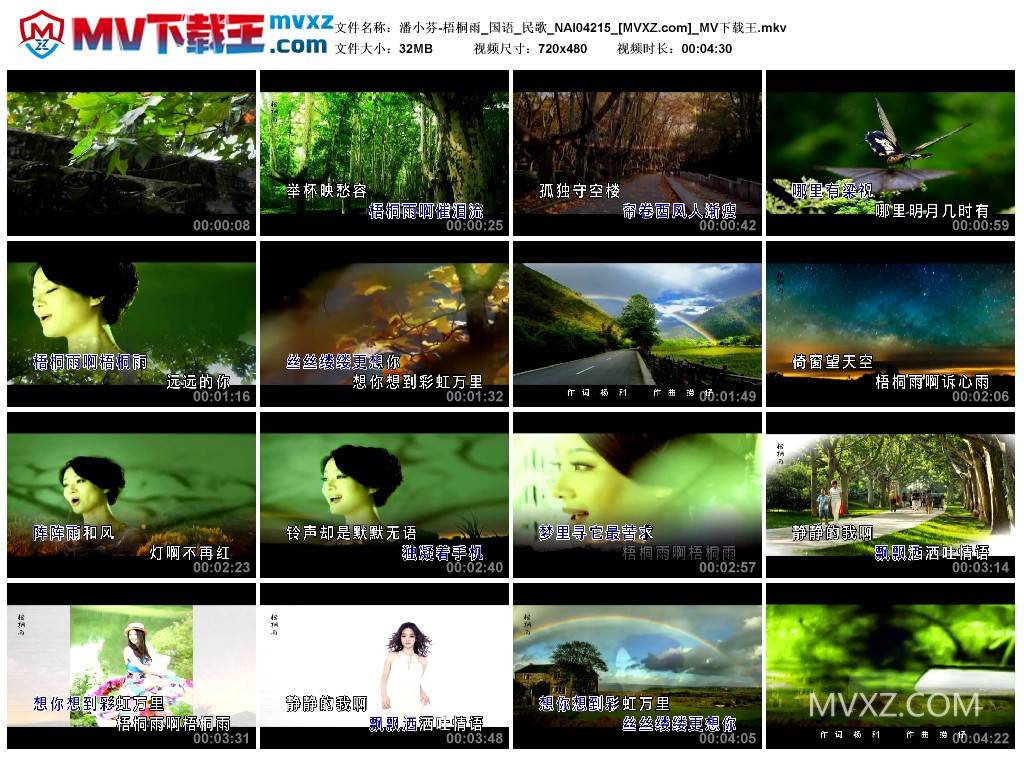 潘小芬-梧桐雨_国语_民歌_NAI04215